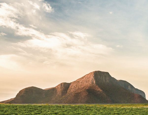 Rancho Nutrilite™ El Petacal