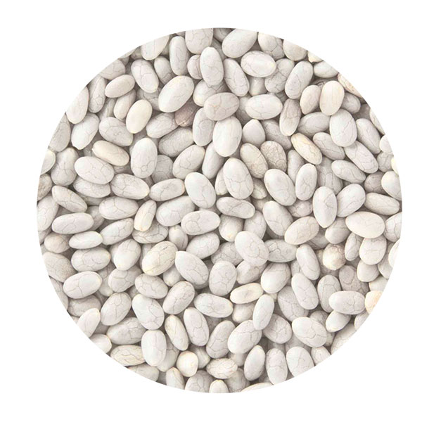 Semilla de chía blanca