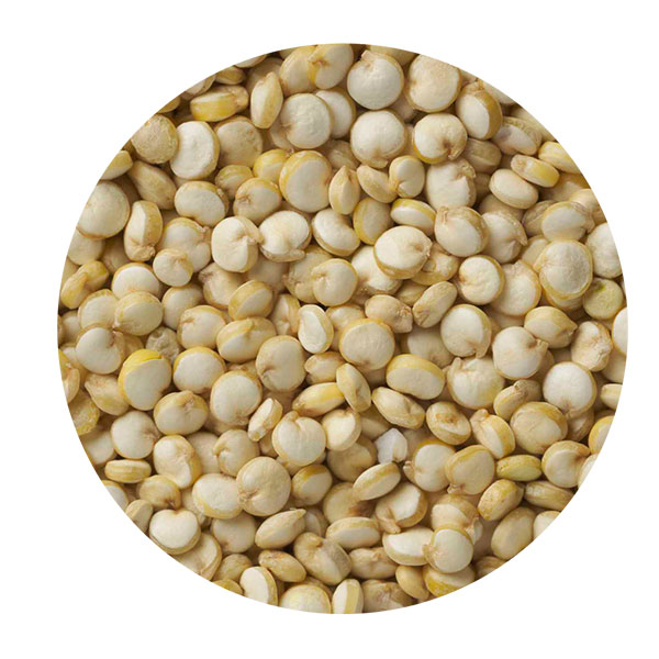 semilla de quinoa